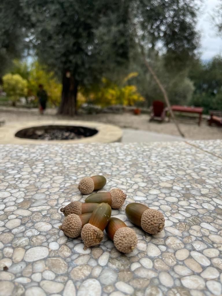 Antalya Bodrum Kayasi Dag Oteli Hasdumen Exteriér fotografie