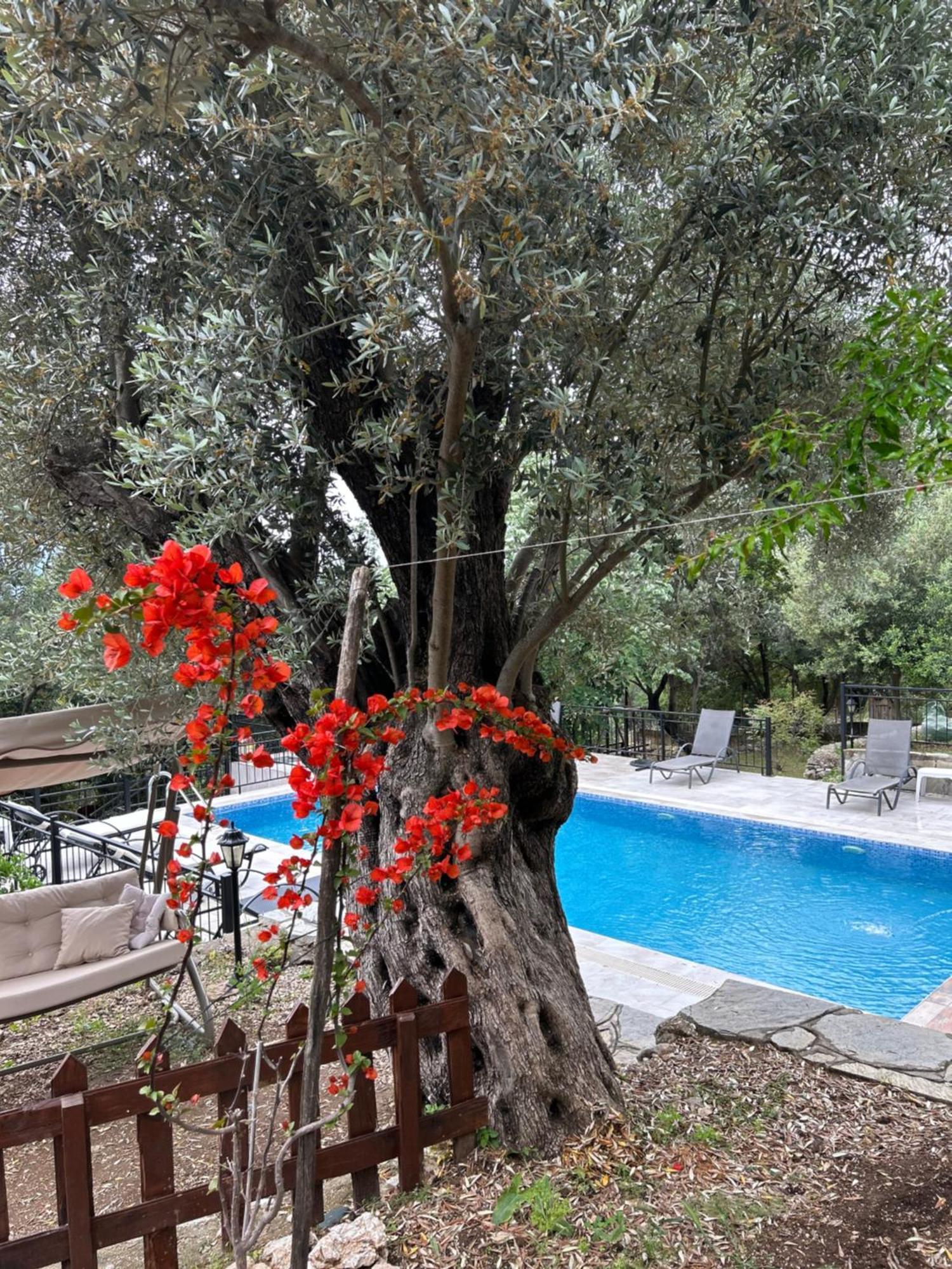 Antalya Bodrum Kayasi Dag Oteli Hasdumen Exteriér fotografie